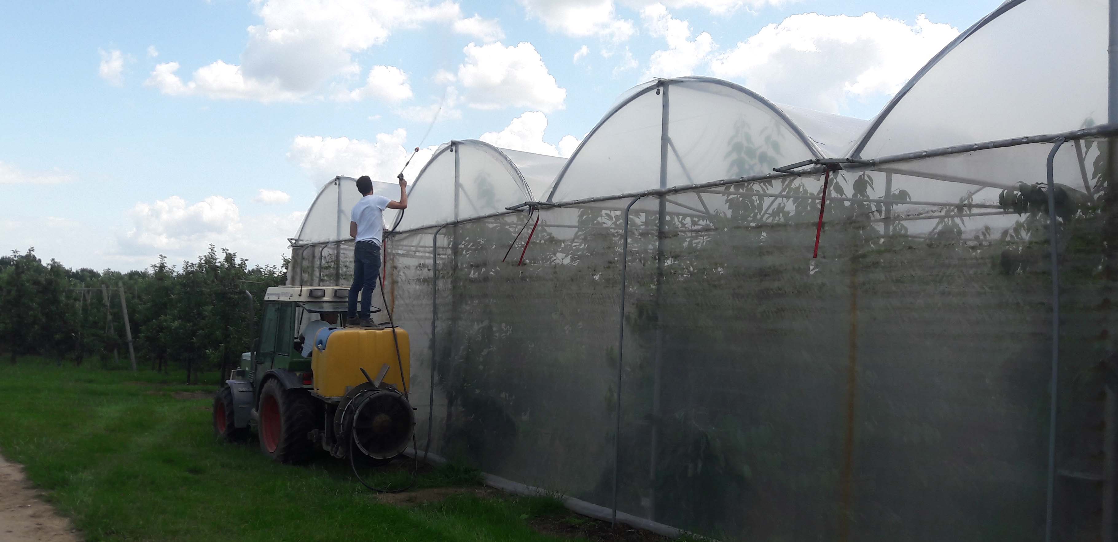 fruitteler brengt coating aan voor temperatuurreductie