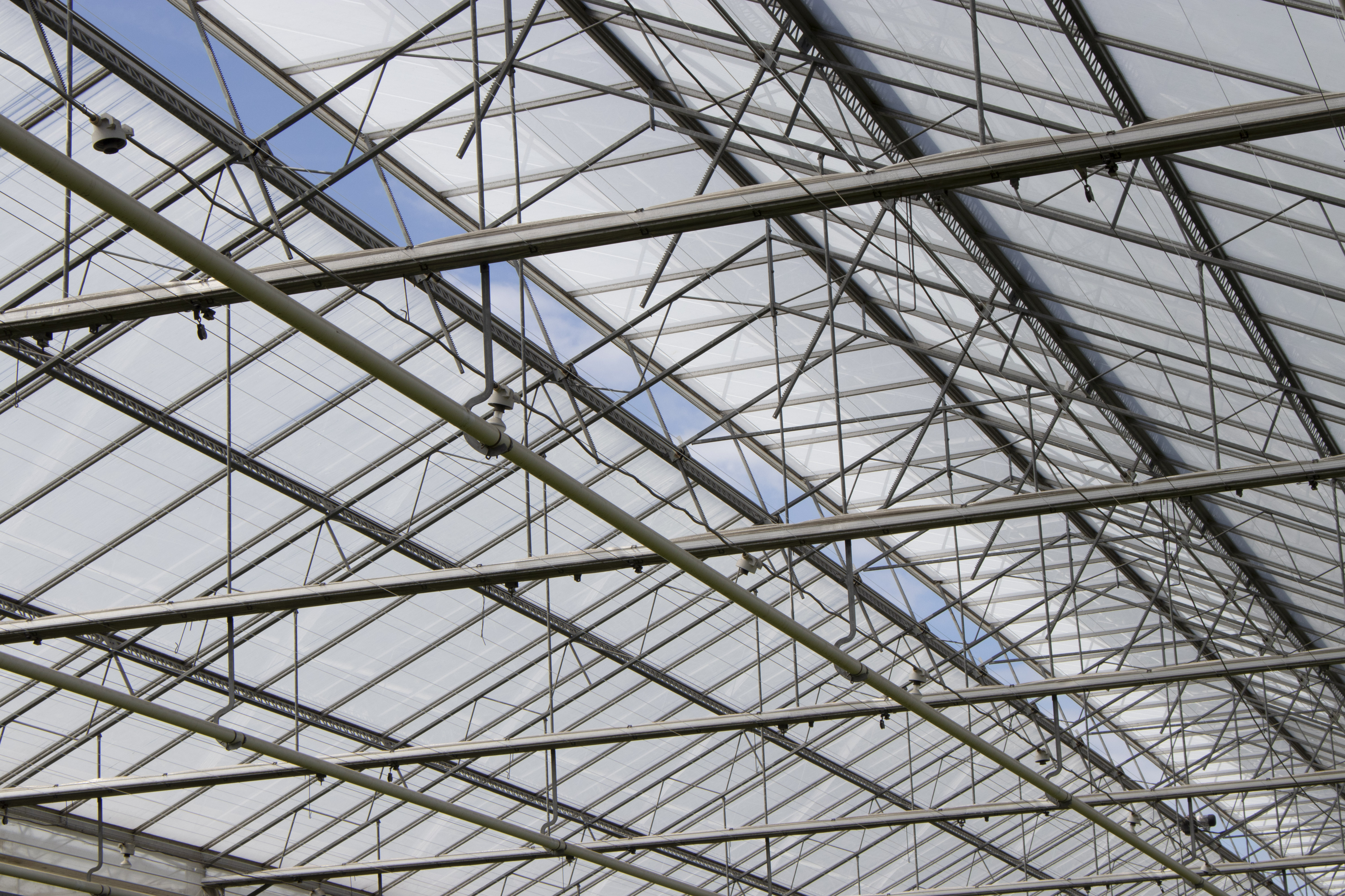 ReduFuse IR is a coating that reduces heat radiation while diffusing the light when it enters the greenhouse. 