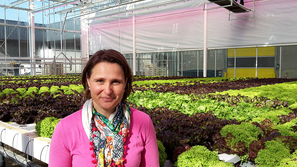 Isabel Vandevelde in a vegetable greenhouse with lettuce