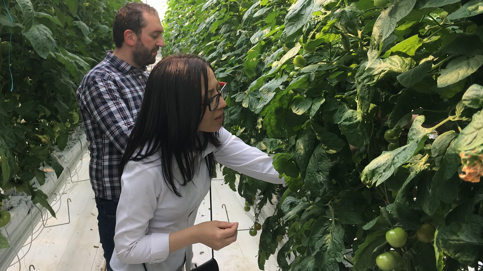 agronomist Murat Hutov and FIRUZA RUZIKULOVA