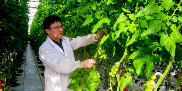 farm manager Mr. Li Xinxu