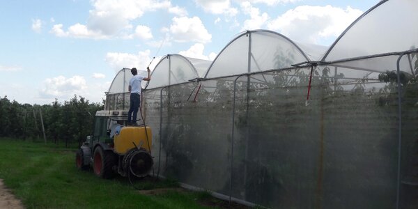 fruitteler brengt coating aan voor temperatuurreductie