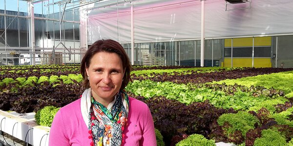 Isabel Vandevelde in a vegetable greenhouse with lettuce