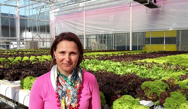 Isabel Vandevelde in a vegetable greenhouse with lettuce