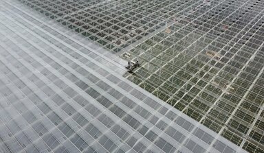 Washing and coating machine spray coating on roof of horticultural greenhouse