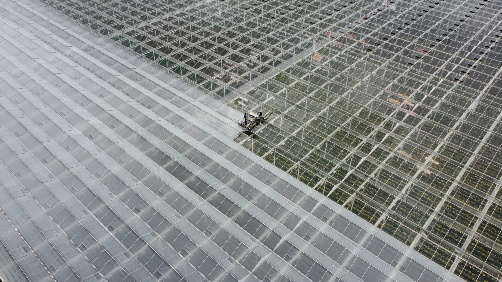 Washing and coating machine spray coating on roof of horticultural greenhouse