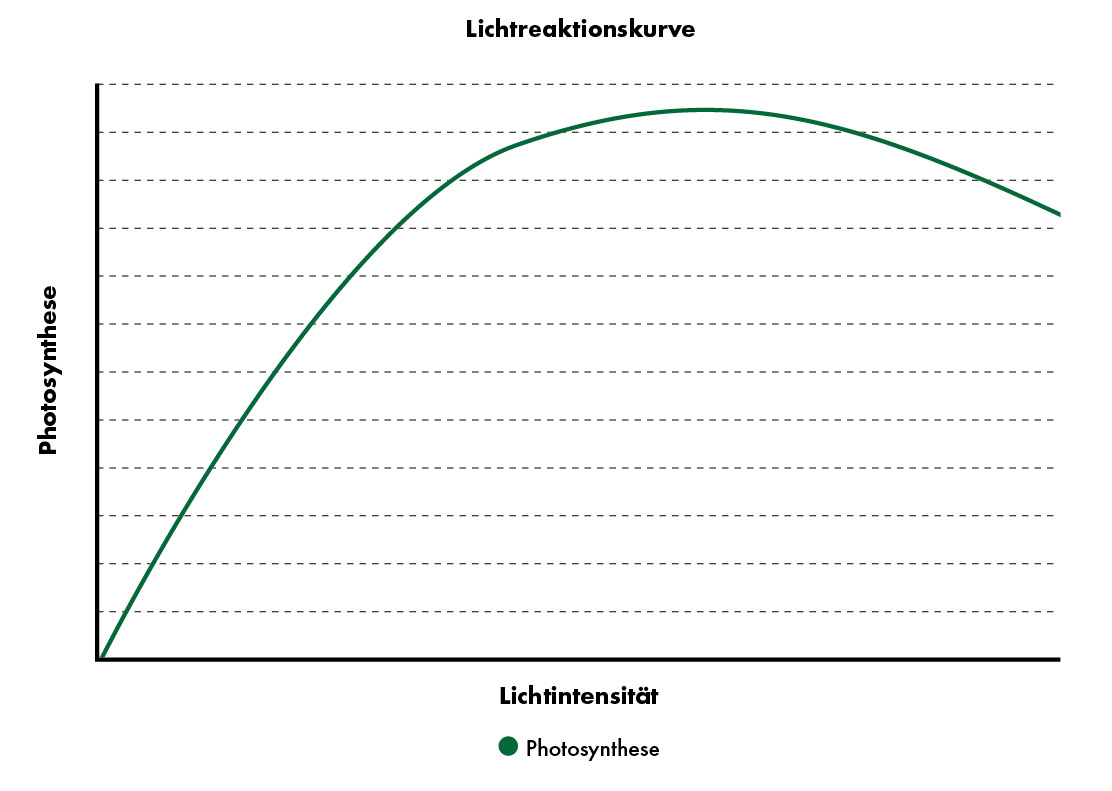 Lichtreaktionskurve