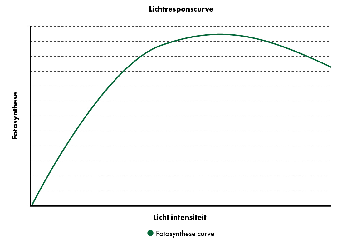 Lichtresponscurve