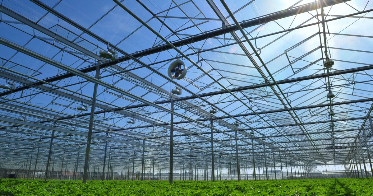 www.redusystems.com
